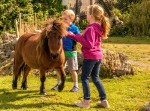 Children with a pony at Eagles Flying, Irish Raptor Research Centre, Ballymote, County Sligo, North West Ireland Children with a pony at Eagles Flying, Irish Raptor Research Centre, Ballymote, County Sligo, North West Ireland