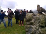 Eagle being photographed by a Camera Club at Eagles Flying, Irish Raptor Research Centre, County Sligo Eagle being photographed by a Camera Club at Eagles Flying, Irish Raptor Research Centre, County Sligo