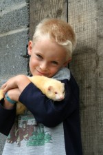 Hands on with Freddy the Ferret at Eagles Flying, Irish Raptor Research Centre, Ballymote, County Sligo, North West Ireland Hands on with Freddy the Ferret at Eagles Flying, Irish Raptor Research Centre, Ballymote, County Sligo, North West Ireland