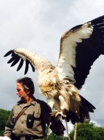 Eagles Flying Founder and Zoologist Lothar F. Muschketat with a Himalayan Vulture - Irish Raptor Research Centre, Ballymote, County Sligo Eagles Flying Founder and Zoologist Lothar F. Muschketat with a Himalayan Vulture - Irish Raptor Research Centre, Ballymote, County Sligo