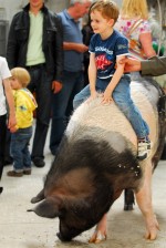 A boy enjoys a piggy back ride on the back of Rosie the pig at Eagles Flying, Irish Raptor Research Centre, Ballymote, County Sligo, North West Ireland