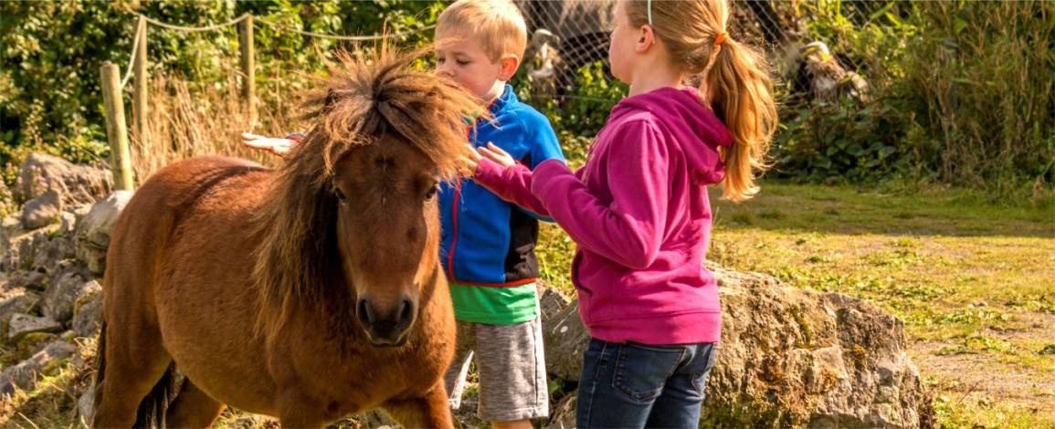 Children with a pony at Eagles Flying - Irish Raptor Research Centre, Sligo, Ireland