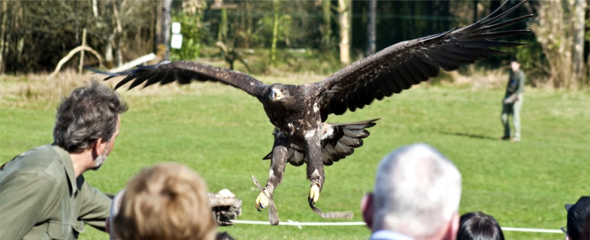 Bird of Prey Centre 