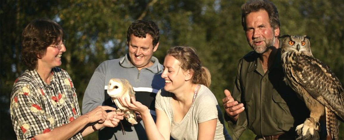 Owls at Eagles Flying - Irish Raptor Research Centre, Sligo, Ireland